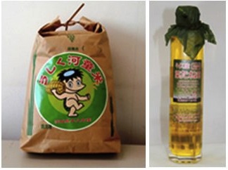 低農薬ブランド米！うしく河童米10kg & 菜の花油セットの特産品画像
