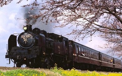 真岡鐵道 ＳＬもおか号 貸切乗車体験の特産品画像