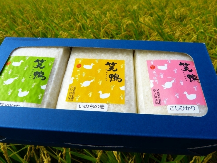 愛鴨米セット 450g×3の特産品画像