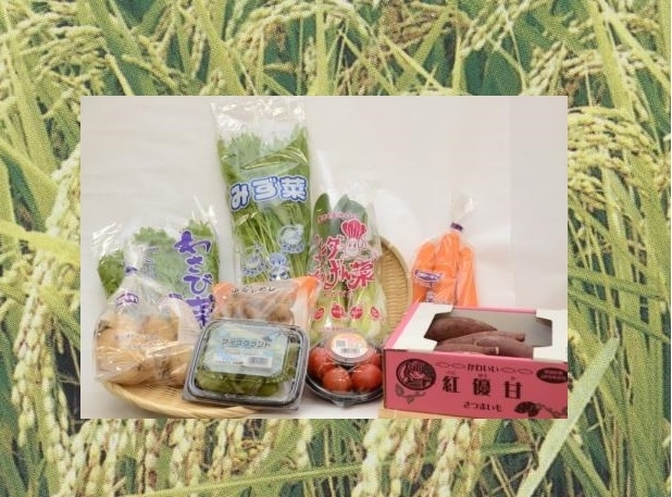 季節の野菜＆米5kg(JAなめがた野菜ソムリエ厳選)の特産品画像
