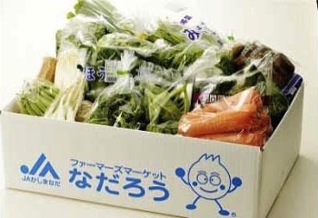 鉾田市産野菜の詰め合わせセットの特産品画像