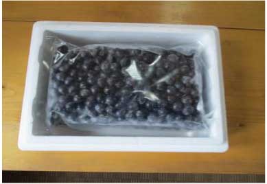 冷凍ブルーベリー　1.2kgの特産品画像