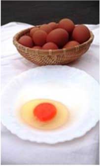 鶏卵(小美玉子「おみたまご」) 100個の特産品画像