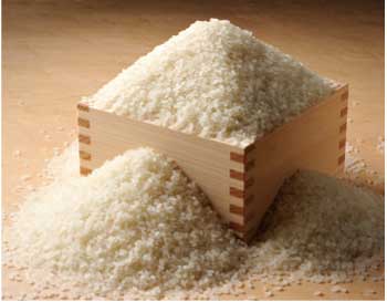 特別栽培米コシヒカリ　大洗日の出米5kgの特産品画像