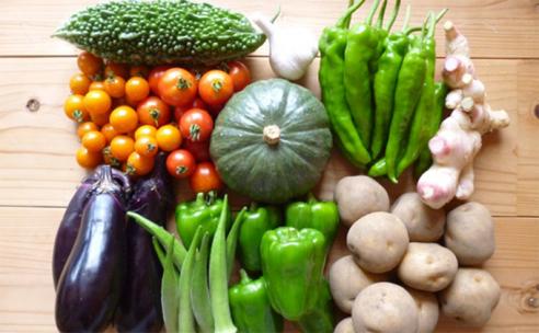 さより農園のいろどり野菜（夏のコース）の特産品画像