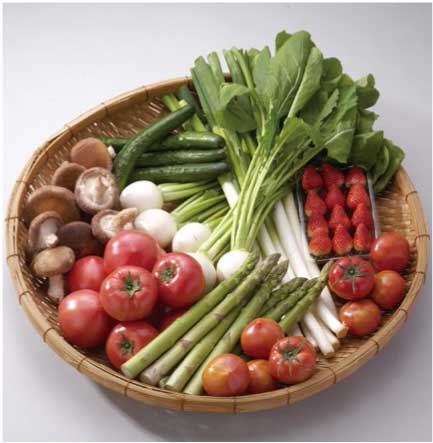 宇都宮産　季節の野菜　生産者直送セットの特産品画像