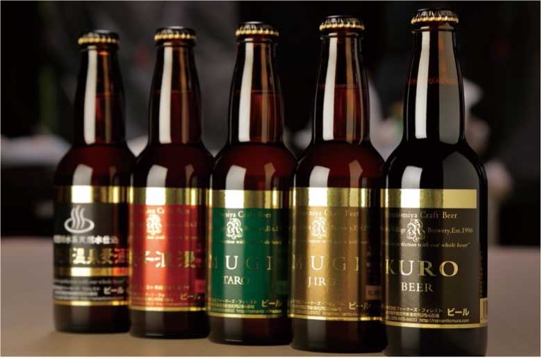 宇都宮クラフトビールオールスター10本セットの特産品画像