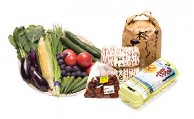 季節の恵み栃木市農産物セレクションBOX②の特産品画像