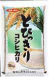 小山産コシヒカリ「とびっきり」【玄米１０ｋｇ】の特産品画像