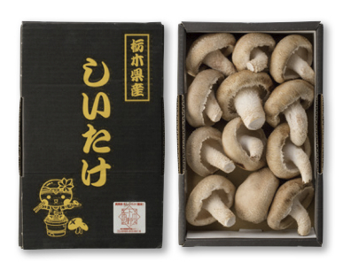 栃木県真岡市産　生椎茸（大）菌床栽培の特産品画像
