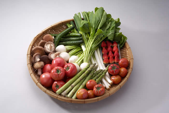 季節の野菜セット(月1回計2回お届け)の特産品画像