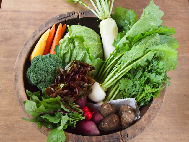 オーガニック野菜（有機野菜）と季節の加工品詰め合わせセットの特産品画像
