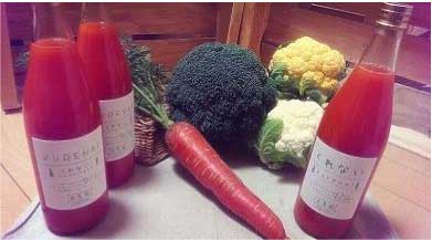 無農薬で育った良農園野菜セット/野菜と野菜ジュースセットの特産品画像