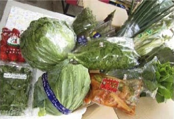 やさい王国　昭和村「季節の野菜セット」〈春〉の特産品画像