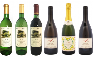 奥利根ワイン6種飲み比べセットの特産品画像