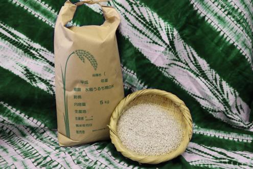 5．三郷産米コシヒカリ(１袋5kg)の特産品画像