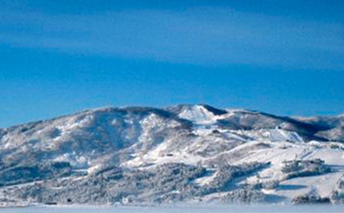 石打丸山スキー場リフト１日券８：００～１７：００　大人２枚の特産品画像