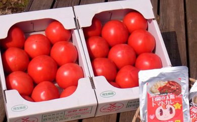 甘熟トマト『白岡の太陽』2キロ×2箱(4キロ)ご当地トマトカレー付きの特産品画像