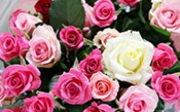 有機栽培で育った朝切りバラの花束の特産品画像