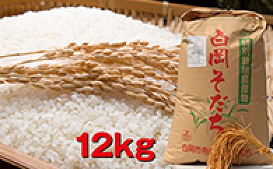 【減農薬・減化学肥料】特別栽培米 白岡産彩のかがやき12kgの特産品画像