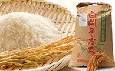 【減農薬・減化学肥料】特別栽培米 白岡産ミルキークイーン10kgの特産品画像
