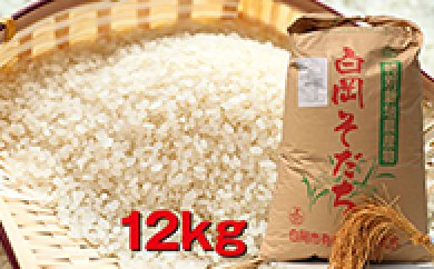 【減農薬・減化学肥料】特別栽培米 白岡産キヌヒカリ12kgの特産品画像