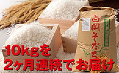 【減農薬・減化学肥料】特別栽培米 白岡産 コシヒカリ20kgの特産品画像