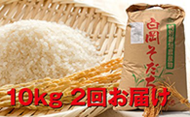 特別栽培米 白岡産ミルキークイーン(20kg) 2回お届け 頒布会の特産品画像