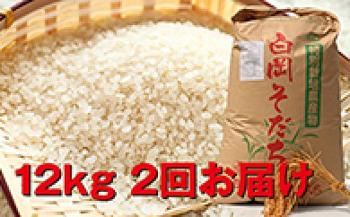 特別栽培米 白岡産キヌヒカリ(24kg) 2回お届け 頒布会の特産品画像