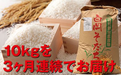 【減農薬・減化学肥料】特別栽培米 白岡産 コシヒカリ30kgの特産品画像
