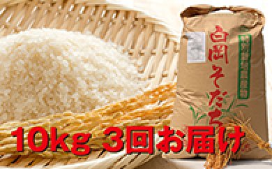 特別栽培米 白岡産ミルキークイーン(30kg) 3回お届け 頒布会の特産品画像