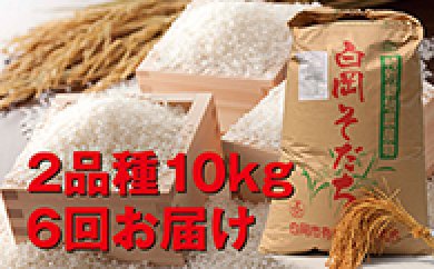 特別栽培米 コシヒカリ彩のかがやきセット(60㎏)毎月2種を6回届けの特産品画像