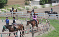 体験乗馬 メンバー体験コースの特産品画像