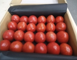 上里町産　フルーツトマトの特産品画像