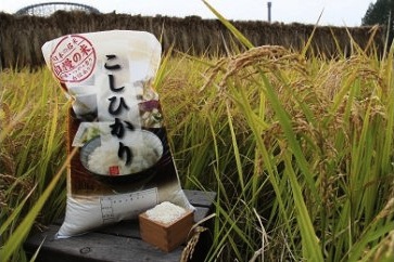 【27年産米】宮代産米「村そだち」10kg(コシヒカリ）の特産品画像