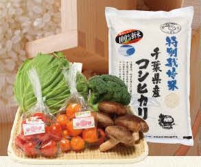 旬の野菜BOXの特産品画像