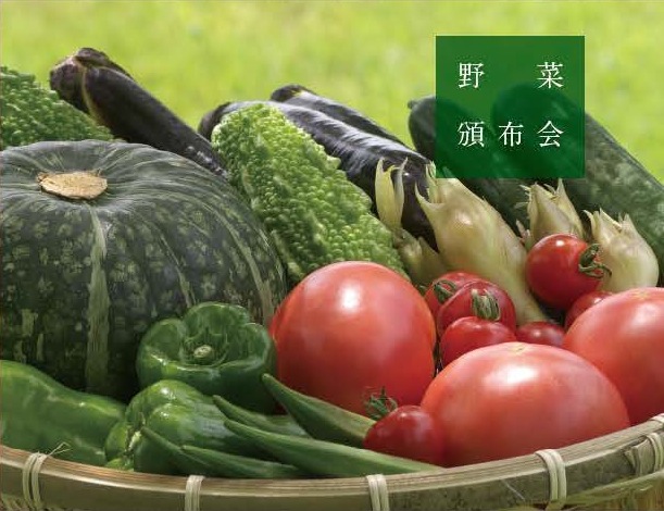 旬の野菜セット（３か月定期便）の特産品画像