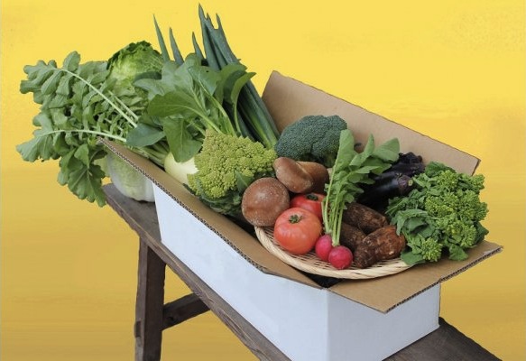 茂原農産物直売所　旬の里ねぎぼうず　季節の野菜、農産物セットの特産品画像