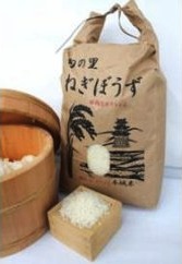 茂原農産物直売所　旬の里ねぎぼうず　お米(コシヒカリ5kg)の特産品画像