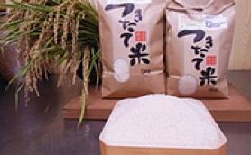 新左衛門のお米（コシヒカリ）精米8Kgの特産品画像