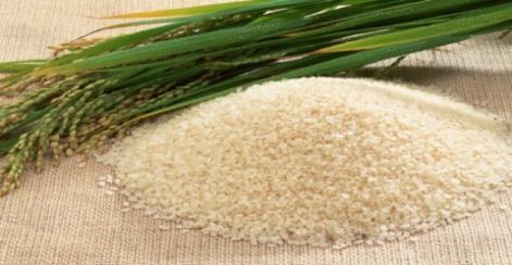 香取市産のお米(5kg)の特産品画像