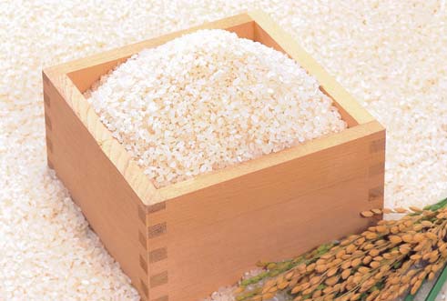 栄町産特別栽培米コシヒカリ　１５ｋｇの特産品画像