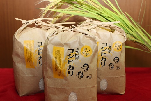 アイガモ農法によるお米（コシヒカリ）の特産品画像