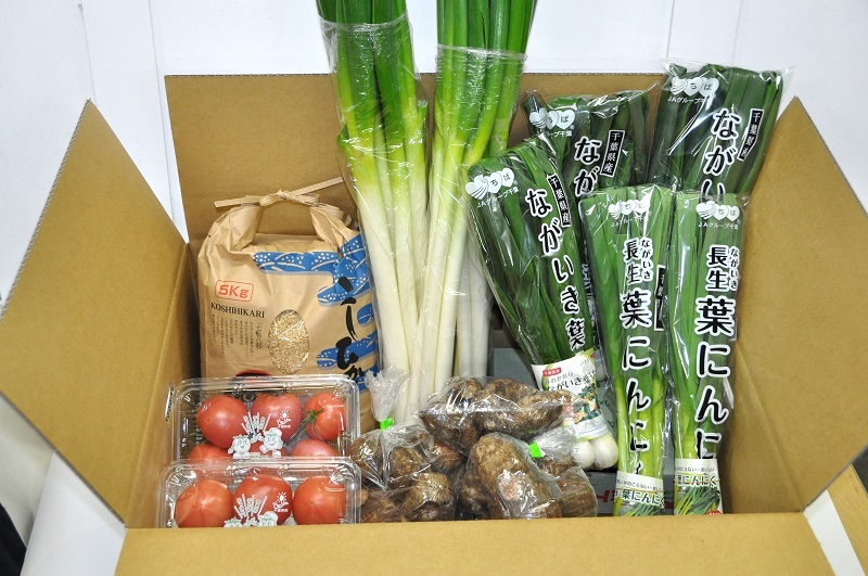 季節の野菜と玄米5kg詰め合わせ(12kg箱)の特産品画像