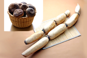 レンコン・椎茸セットの特産品画像