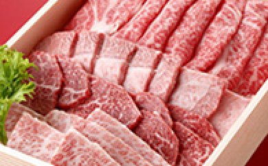 小田原 中川食肉おすすめ かながわブランド　相州牛焼肉用800ｇの特産品画像