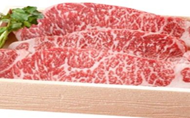 小田原中川食肉お勧め　かながわブランド相州牛ﾛｰｽｽﾃｰｷ用600ｇの特産品画像