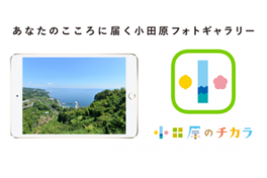 都市セールスアプリ｢小田原のチカラ｣ 6か月利用チケット（iPad mini 4 Wi-Fi 16GB - ゴールド 付き）の特産品画像