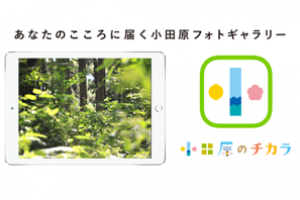 都市セールスアプリ｢小田原のチカラ｣ 6か月利用チケット（iPad Air 2 Wi-Fi 16GB - シルバー 付き）の特産品画像