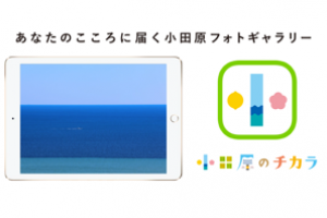 都市セールスアプリ｢小田原のチカラ｣ 15か月利用チケット（9.7インチiPad Pro Wi-Fi 128GB - ゴールド 付き）の特産品画像
